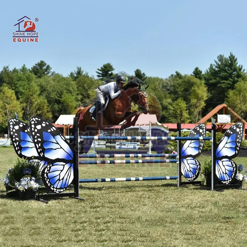 L'ala di salto durevole dello spettacolo di scuola del cavallo con la pista del buco della serratura