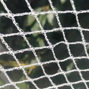 ブドウの木は結び目のないブドウ園のアンチバードネット、グレープチェリー果樹園用のアンチバードコントロールネットをカバーします - Product Image 3