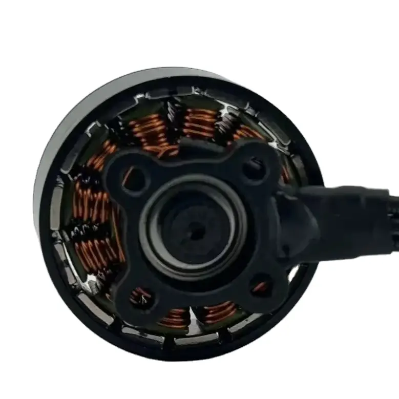 Ad alta velocità Mini Brushless DC ingranaggio motore 24V 800W fornitore cinese con caratteristiche personalizzabili per il ventilatore Drone elettrodomestici intelligenti