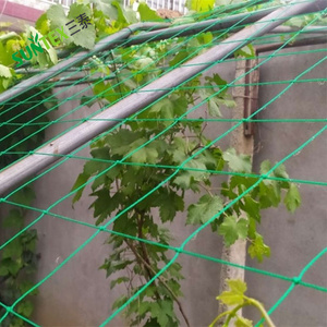 Garden Trellis Netting <strong>String</strong> <strong>Mesh</strong> Plant Support Fence <strong>Net</strong> 15*15 cm Hole Size - Product Image 1