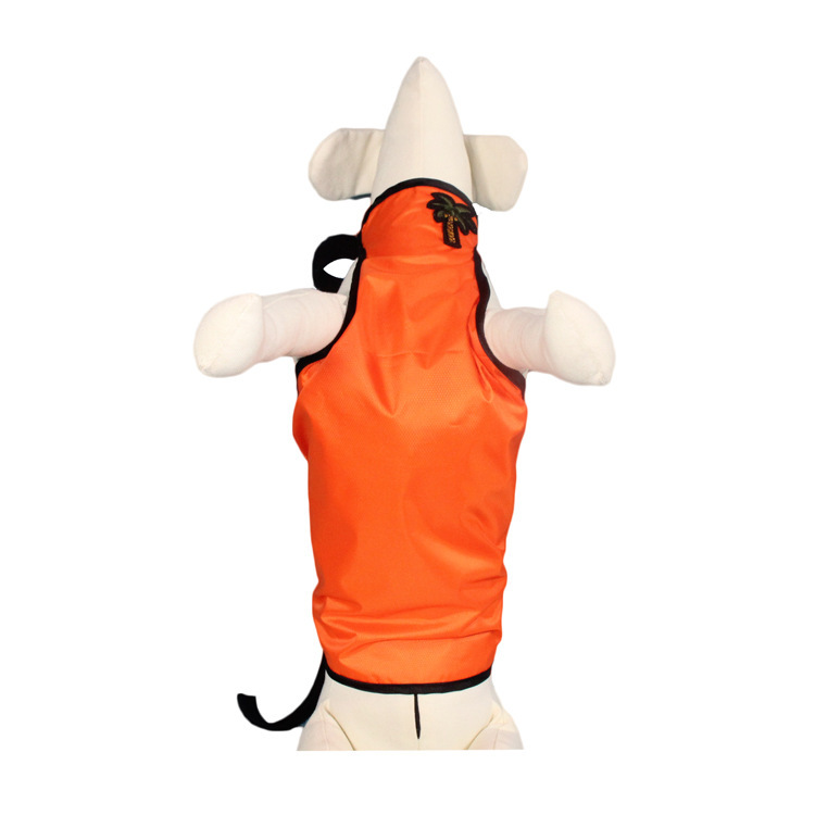Naranja (hembra)
