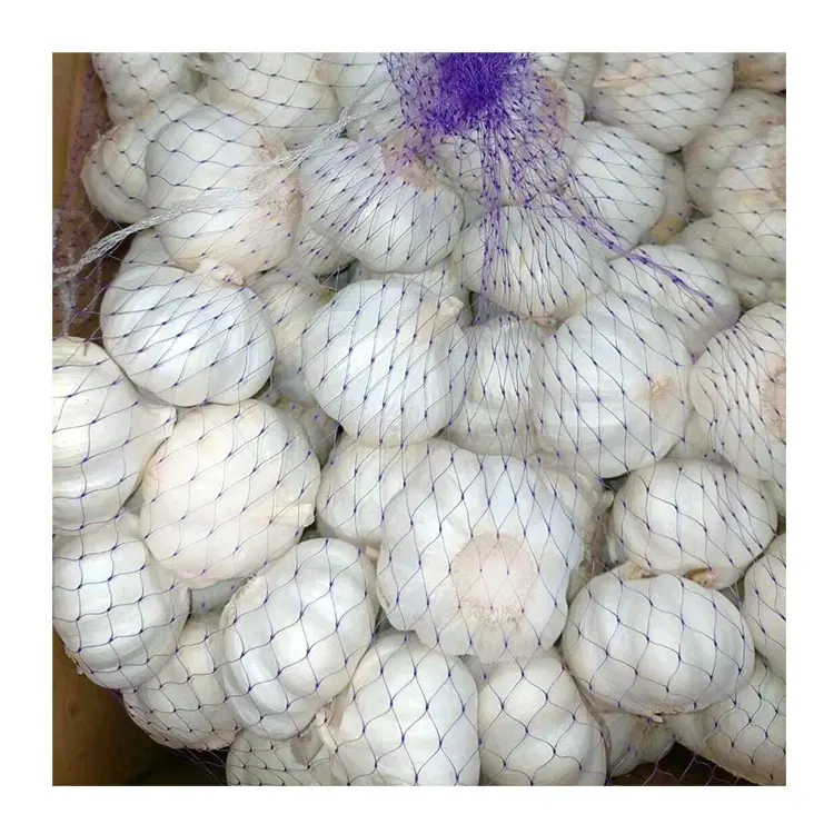 Garlic Chinese fresh pure white garlic for wholesale fresh vegetables in 20kg mesh bags/cartons factory price fresh white garlic