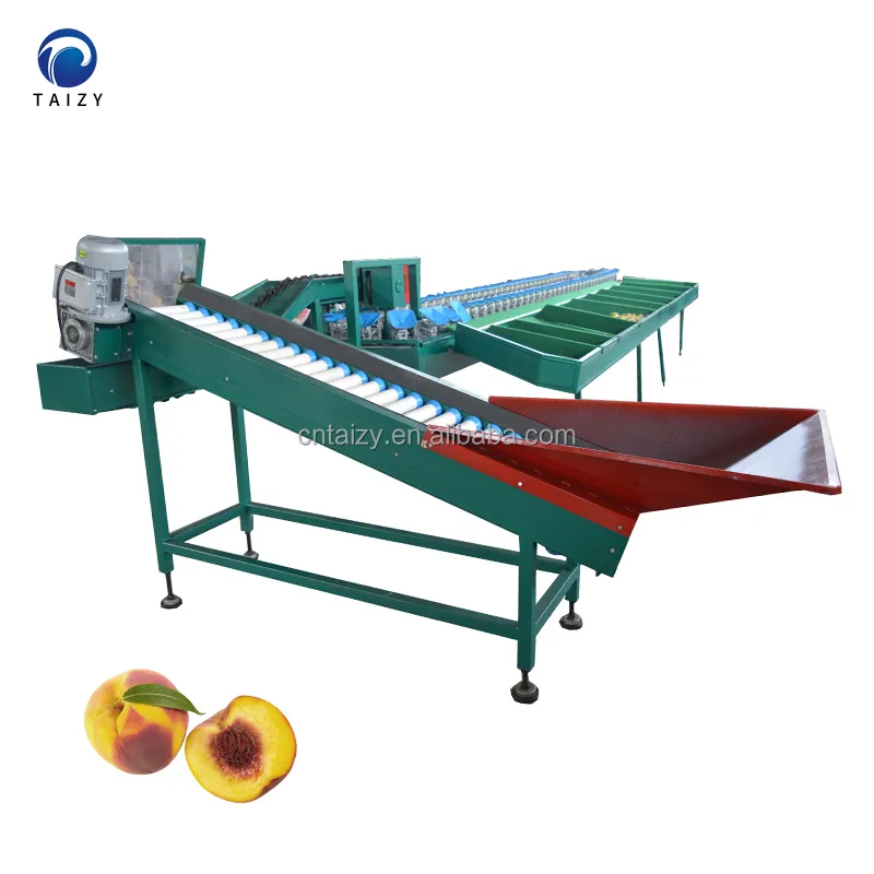 Nivelador de frutas y verduras personalizado, máquina de clasificación de peso de aguacate, Mango de patatas