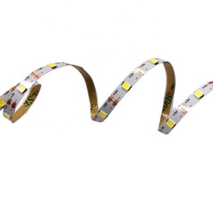 2024 SMD2835 yüksek parlaklık <span class=keywords><strong>LED</strong></span> şerit DC 12V 24V dağınık yansıma Lens manzara IP65 12V için esnek duvar yıkayıcı ışık