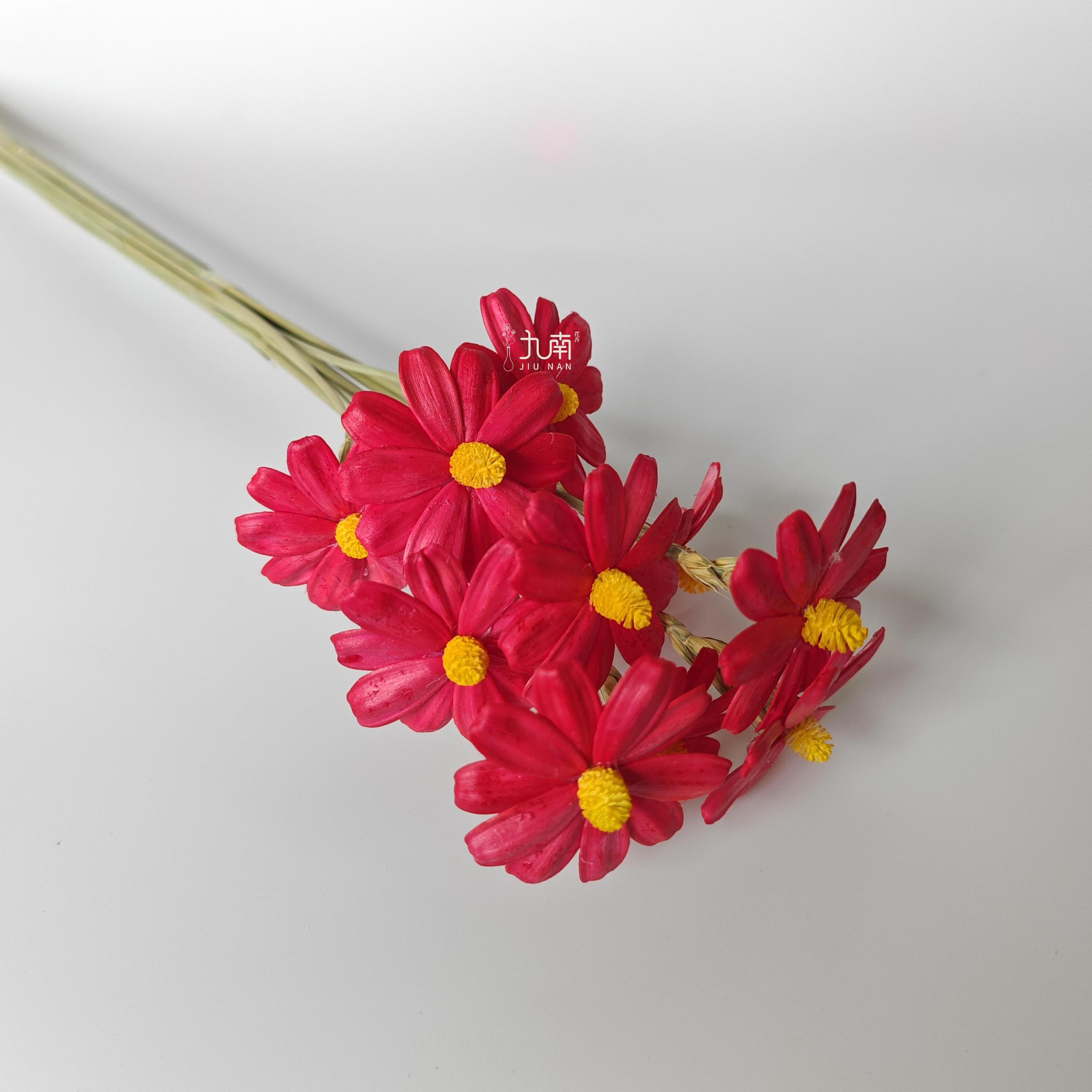 Red 10 pcs/bundle
