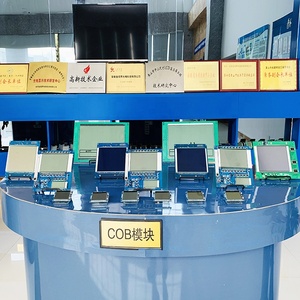 Kleines negatives FPC-Schnittstellen-COG-LCD-Anzeige modul mit Vollsicht-VA-Segment anzeige für Controller