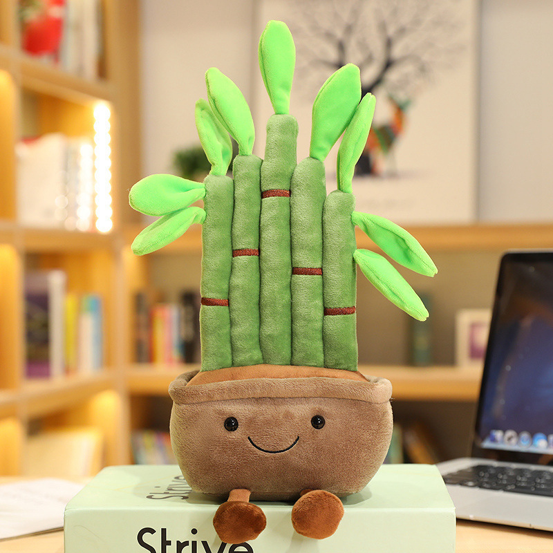 Brown lucky bamboo-25 cm-014 kg