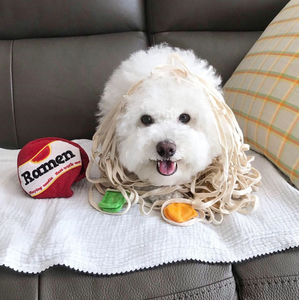 日本韓国で最も人気のあるペットの犬のためのぬいぐるみラミアンヌードルトイボイス & スニフインタラクショントレーニングミッシング食品パズル