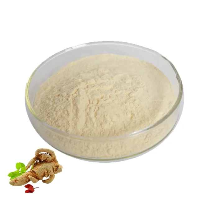 Bổ sung dinh dưỡng 100% tinh khiết Panax pseudoginseng chiết xuất notoginseng triterpenes 15% 80% bột viên thuốc viên