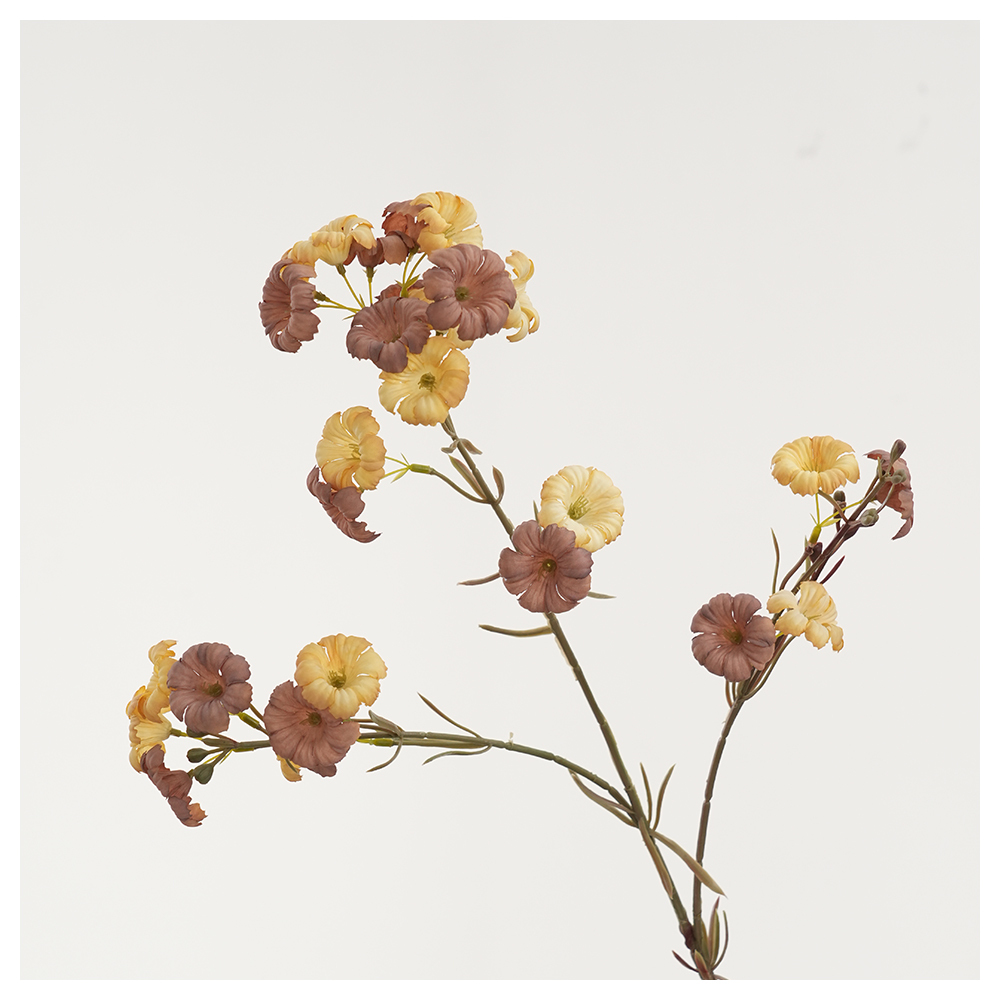 Brown Yellow