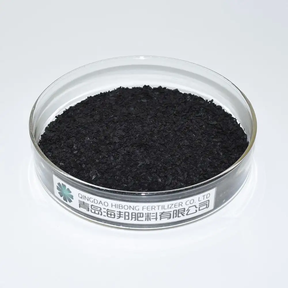 Quick Organic Ascophyllum Nodosum Seaweed Extract Flake Black or Brown Powder for Agricultural Use