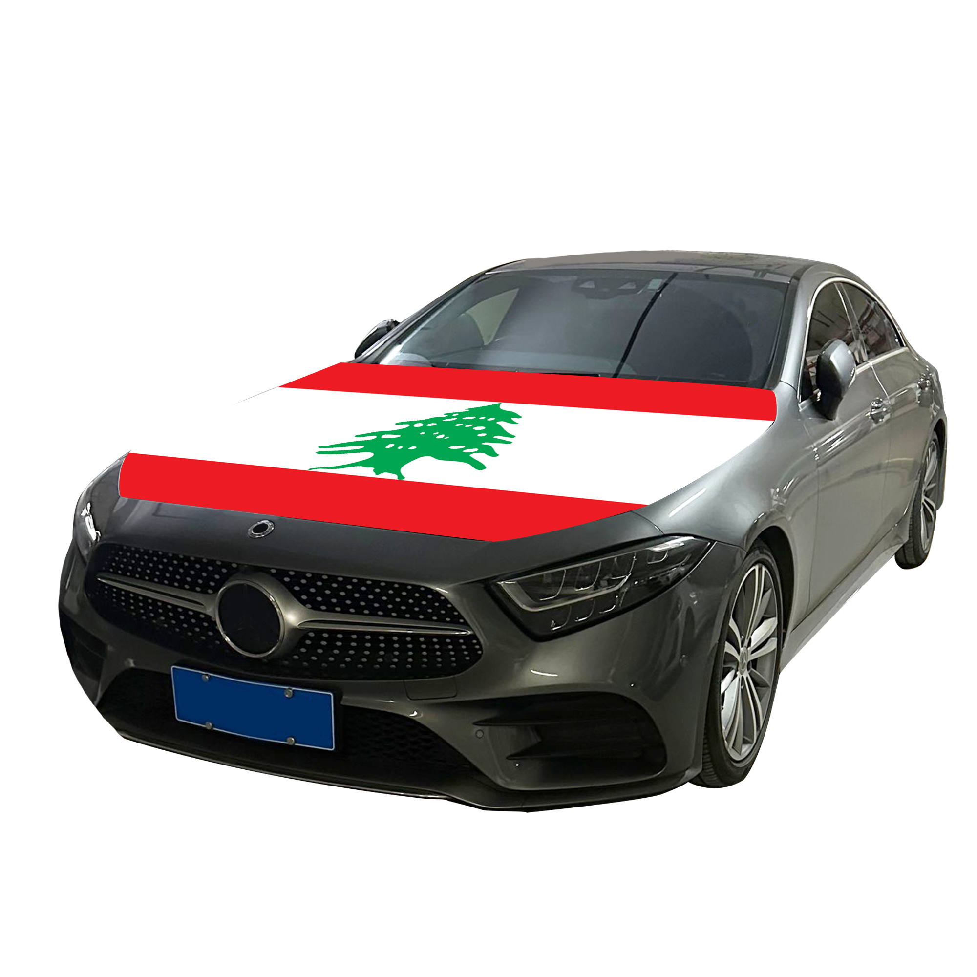 Lebanon Flag