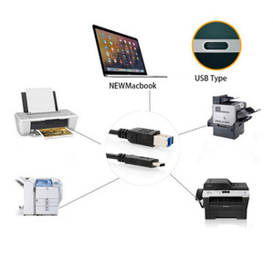 USB 3.1タイプC USB-CコネクタUSB標準B男性データケーブル - Product Image 4