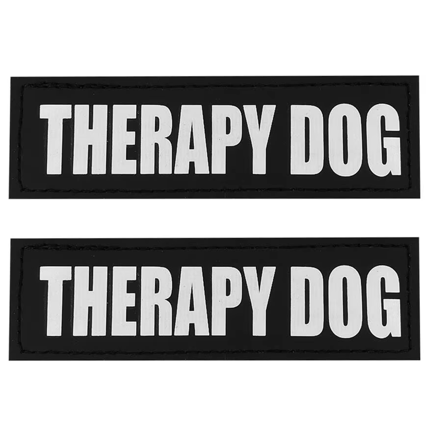 TERAPIA PERRO