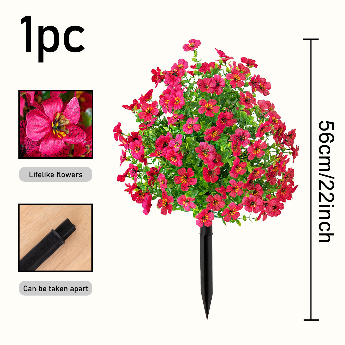 Violet Ground Bush, Rose Red