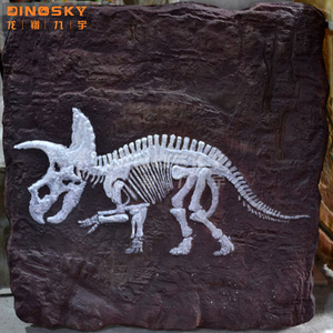 Réplicas Jurásicas Esqueleto de ictiosaurio Fósiles Exhibición EN EL Museo de Ciencias DINOSKY - Product Image 4