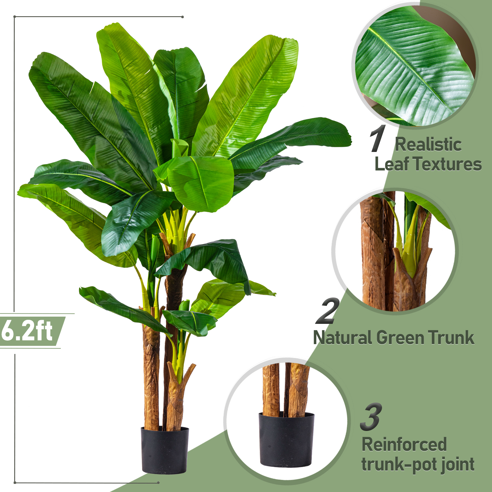 Banana Tree 6.2ft Green