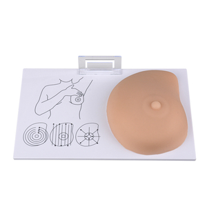 Simulator Female Inspection and <strong>Palpation</strong> Breast Self Examination Model Class Demonstration - Product Image 4