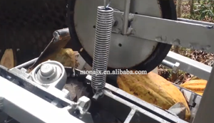<strong>Cocoa</strong> Processing <strong>Machines</strong> Fresh <strong>Cocoa</strong> Pods Cutting Splitting <strong>Cocoa</strong> <strong>Shell</strong> <strong>Beans</strong> Screening Splitter Separator <strong>Machine</strong> Price - Product Image 6