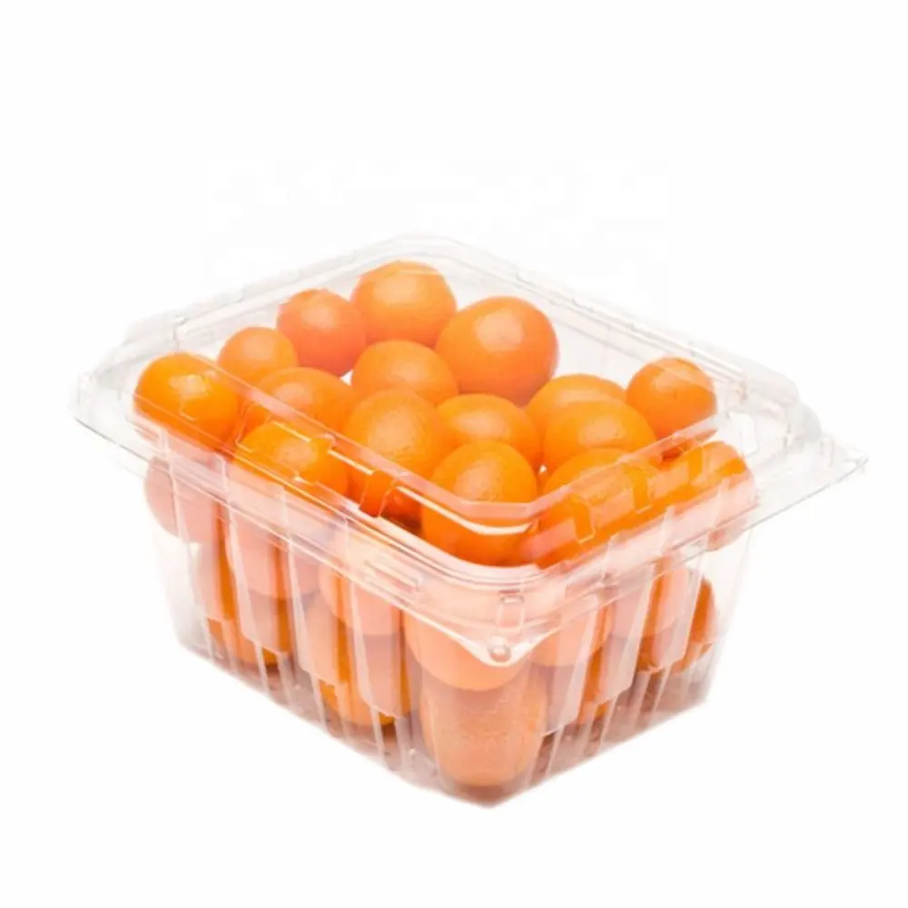 Blister jetable en plastique transparent boîte d'emballage de fruits PET de haute qualité à clapet fruits secs légumes conteneur avec couvercle à charnière