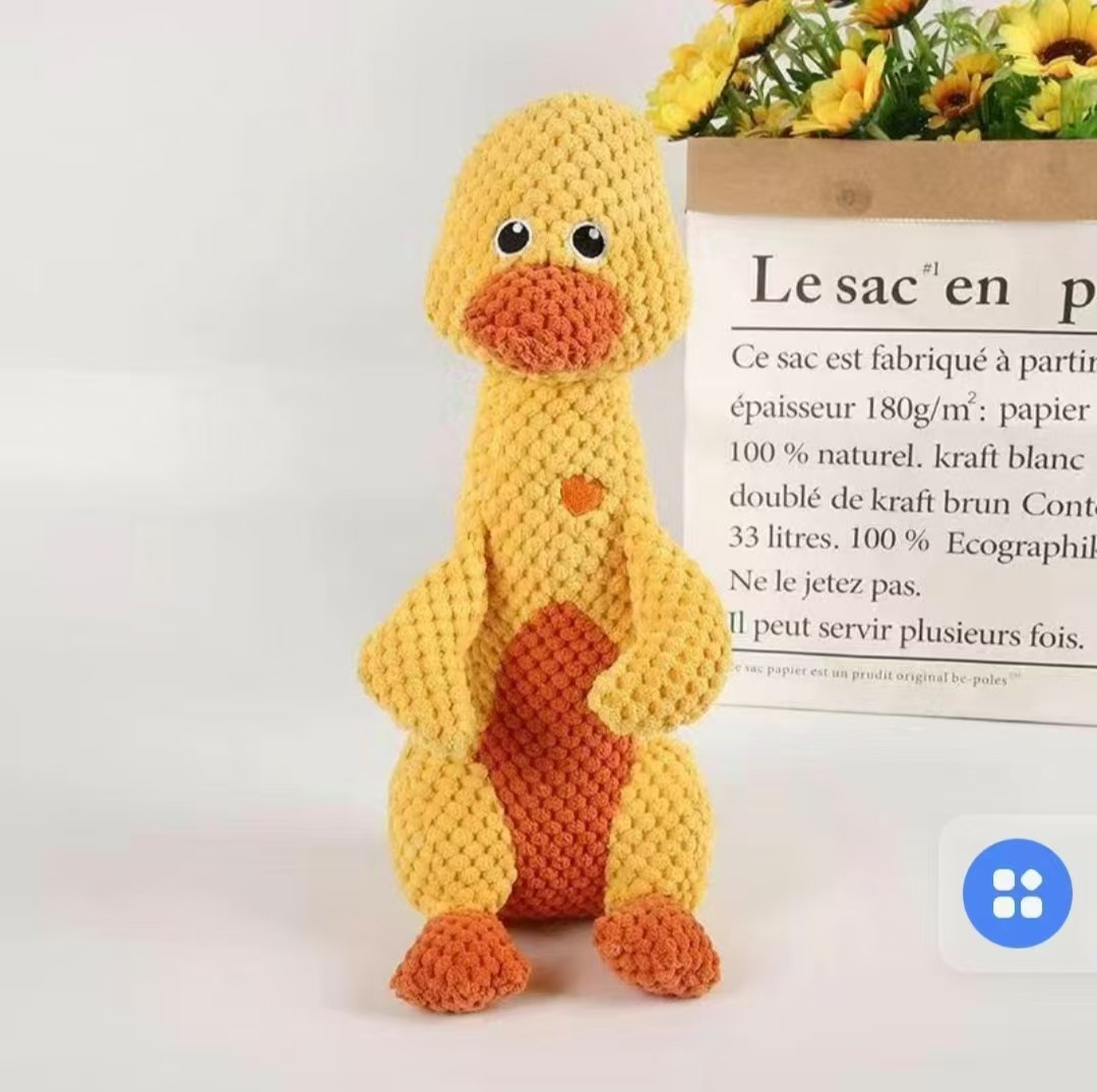 duck