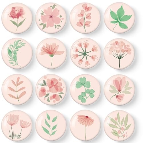 Plante rose