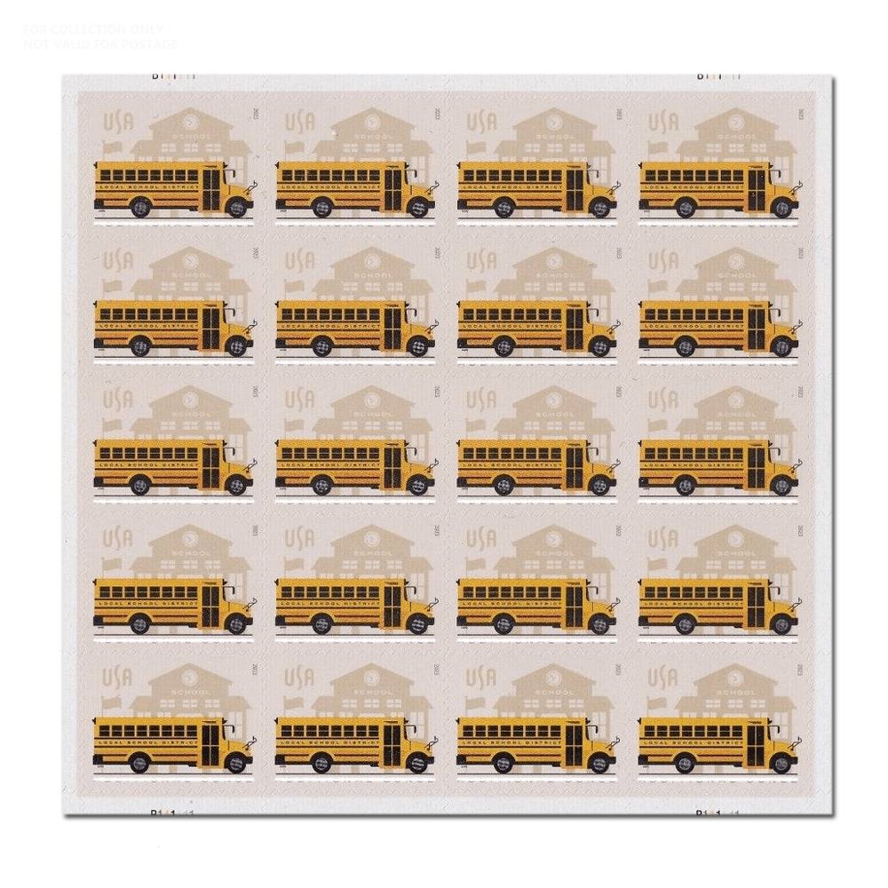 White Y154 2023 School Bus