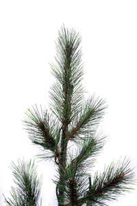 Standard Xmas <strong>Tree</strong> 60&quot; 130 Lights Christmas <strong>Tree</strong> Crafts 213 Tips Hot Needle Pine Christmas <strong>Tree</strong> With Burlap Half-Round Base - Product Image 4