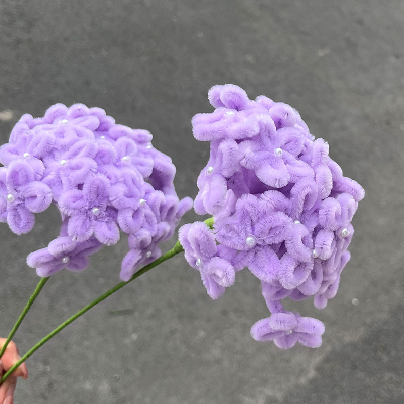 Lavande Pourpre - Hortensia à 12 branches