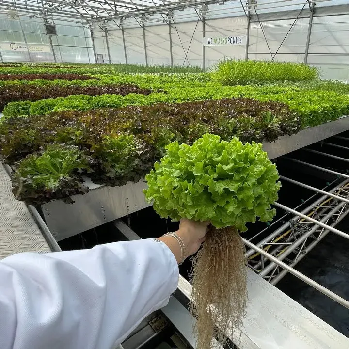 Sistema aeropónico, jardín vertical hidropónico, torre de cultivo, cultivo de verduras, hierbas, columna de plástico, sistema de torre, invernadero agrícola