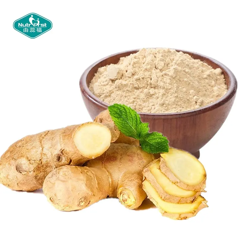 Fornitura del produttore cinese estratto di zenzero biologico in polvere Gingerol radice di zenzero Zingiber Officinale estratto di Roscoe