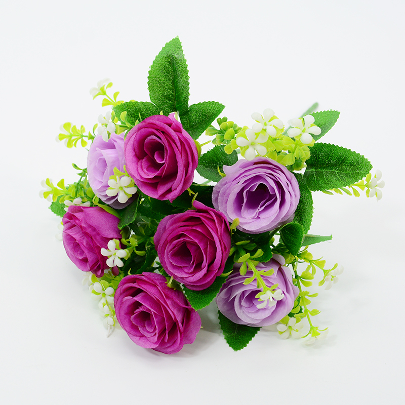 Double violet