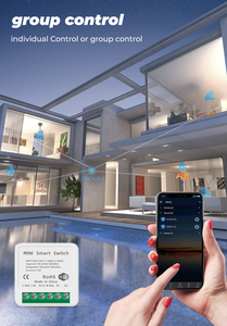 Tuya MINI Wifi Smart Switch 16A Timer di controllo a 2 vie interruttori Wireless Smart Life Automation compatibile con Alexa Google Home - Product Image 5