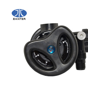 Valvola filtro valvola addolcitore manuale Runxin per trattamento acque F64B - Product Image 2