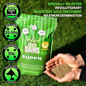 Benih taman pertumbuhan cepat benih rumput Premium 1KG paket abadi Ryegrass/merayap merah <span class=keywords><strong>Fescue</strong></span> perawatan kepala untuk teduh - Product Image 3