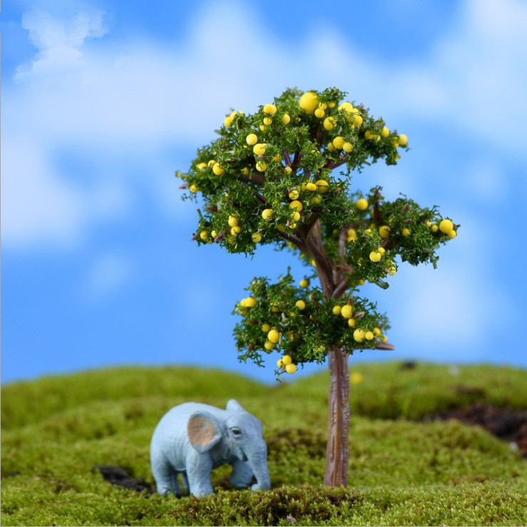 Orange tree
