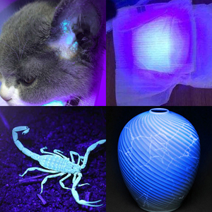 Xách tay 365nm LED <span class=keywords><strong>UV</strong></span> đèn pin mini tia cực tím đèn IP65 Nhôm Cơ thể AA pin phụ kiện Detector Torch cho chăm sóc vật nuôi - Product Image 6