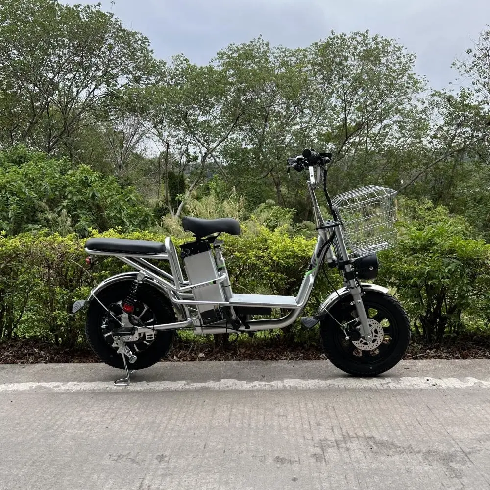 60V lithium vélo électrique adulte 1000W 16 ''pneus de neige larges moto électrique urbaine loisirs