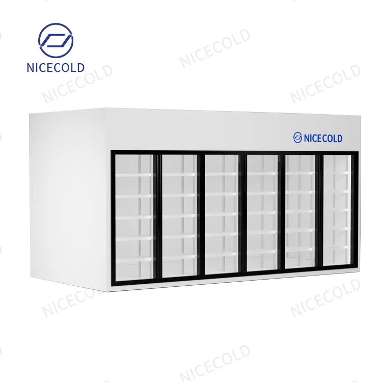 Custom Refrigeration Equipment Walk-In Freezer Cold Room 6 Glass Door Display Cooler