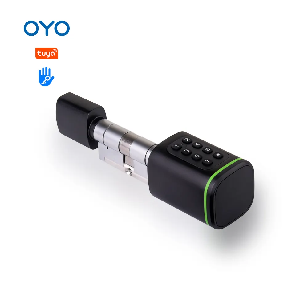 OYO Wettbewerbs fähiger Preis Smart Lock automatische elektronische Heims chlösser ttlock tuya App WiFi Passwort elektronischer Schließ zylinder
