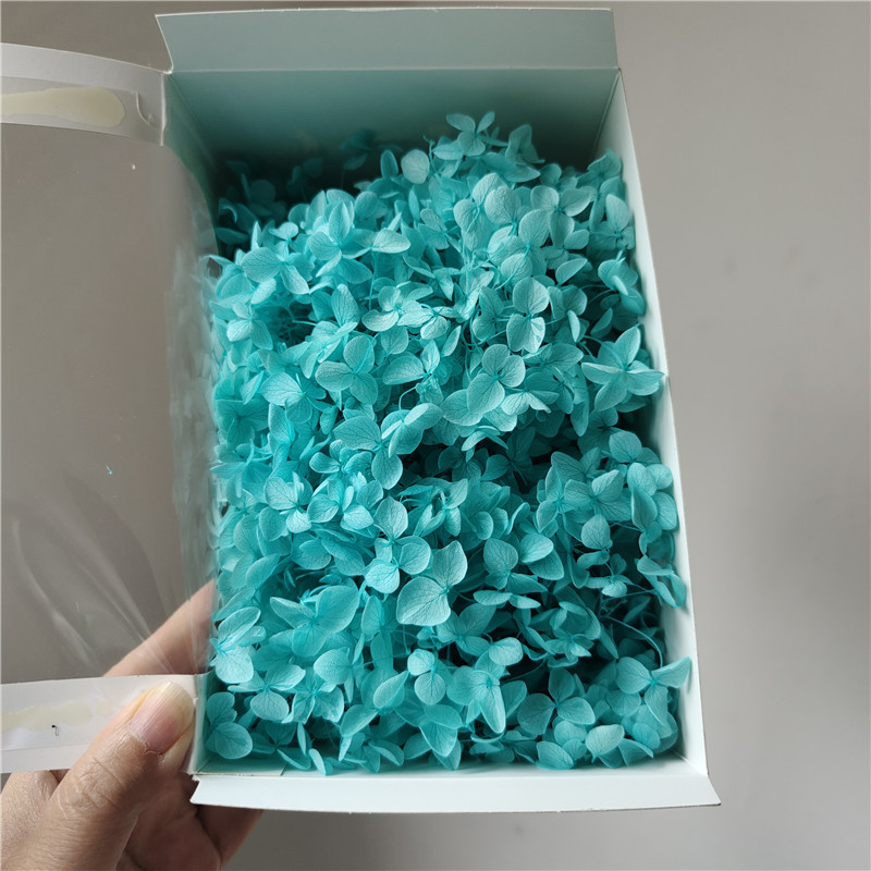 Azul nylon