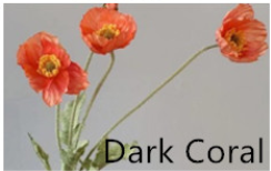 dark coral