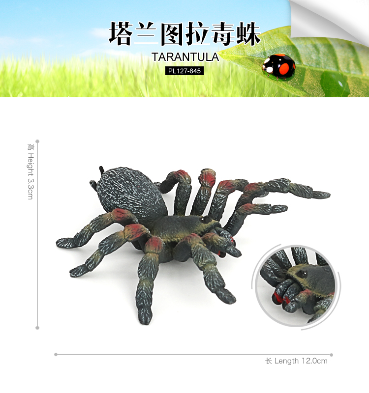845 Araignée