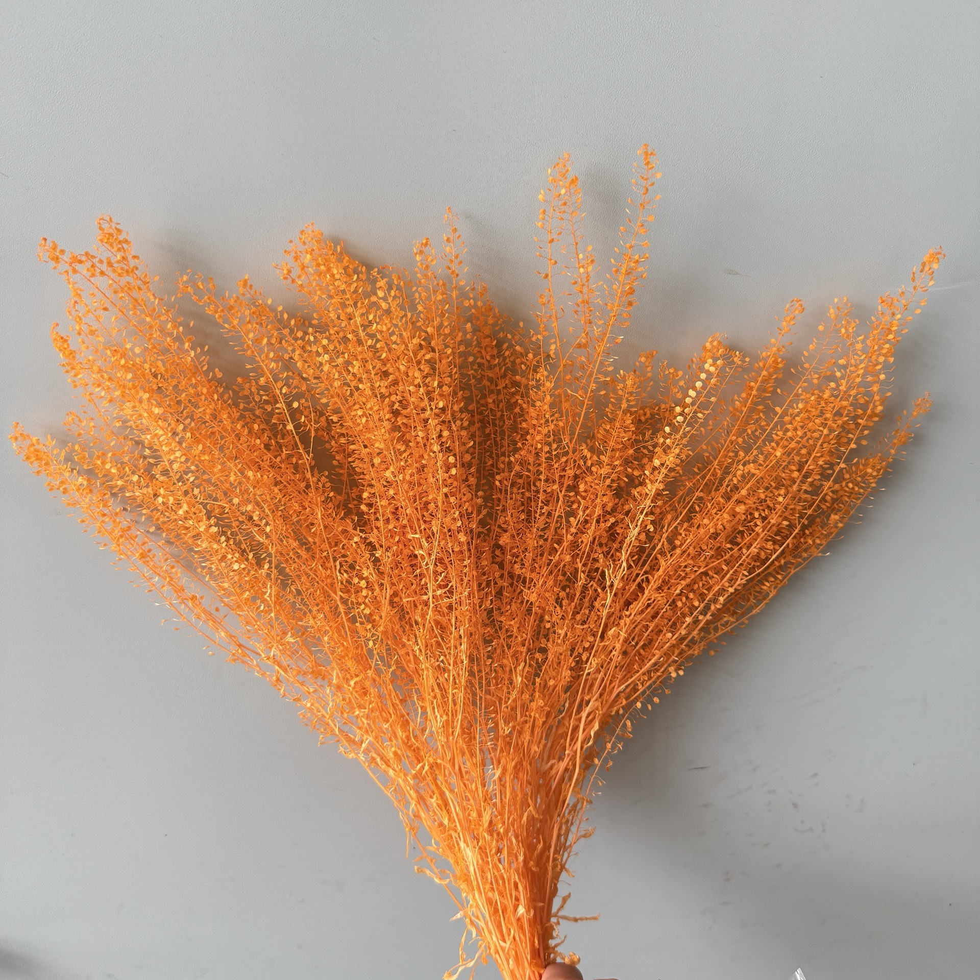 Arancione