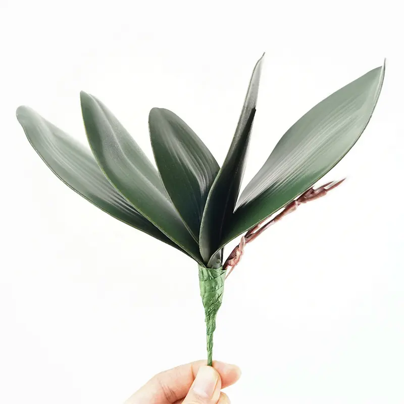 Feuilles d'orchidées artificielles vertes au toucher réel, bricolage de plantes artificielles, feuilles d'orchidées papillon en PU pour la décoration, vente en gros