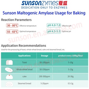 Maltogenic amylase cho bánh Bánh Mì Thời hạn sử dụng, bánh mì antistaling, nướng tươi Enzyme - Product Image 3