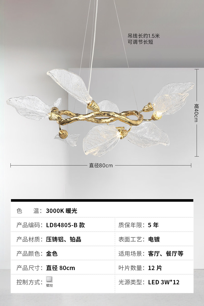 B or 80cm-lumière chaude 3000k