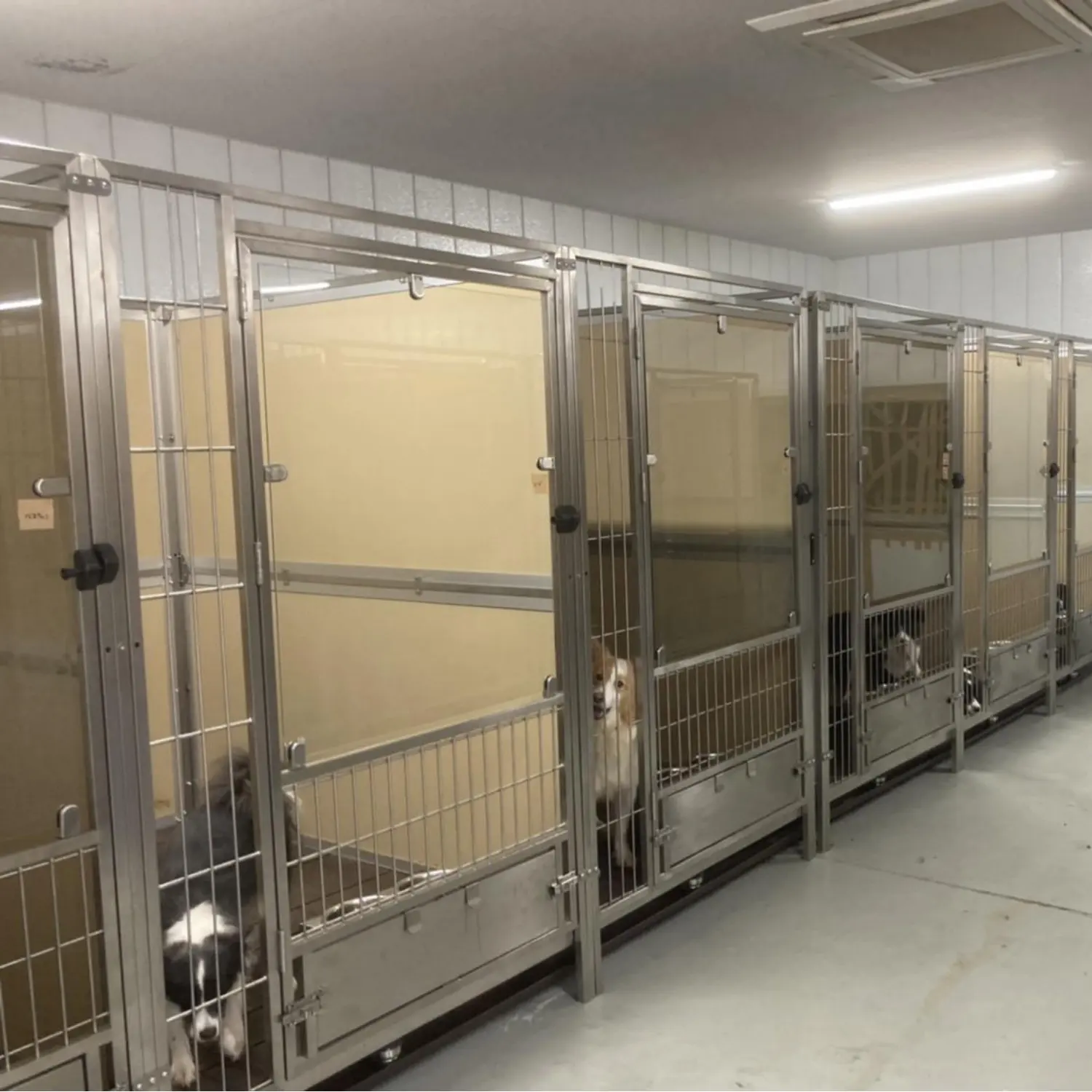 AEOLUS kennel building dog run canili per cani commerciali canile da imbarco