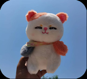 Cute cat