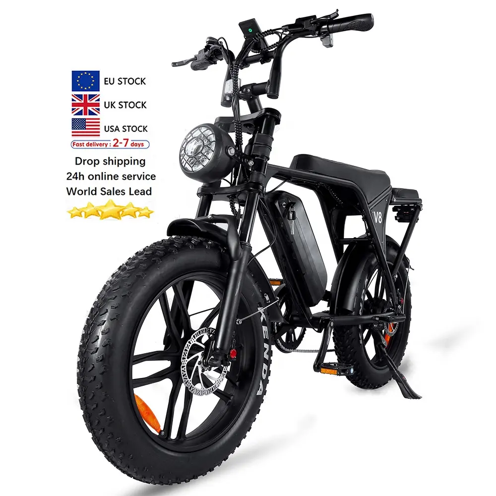 Bombacı ebike ucuz e bisiklet kıyıcı bisiklet elektrikli teslimat bisiklet uzun menzilli 250W V8